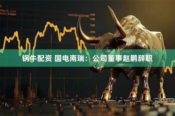 锅牛配资 国电南瑞：公司董事赵鹏辞职