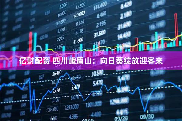 亿财配资 四川峨眉山：向日葵绽放迎客来
