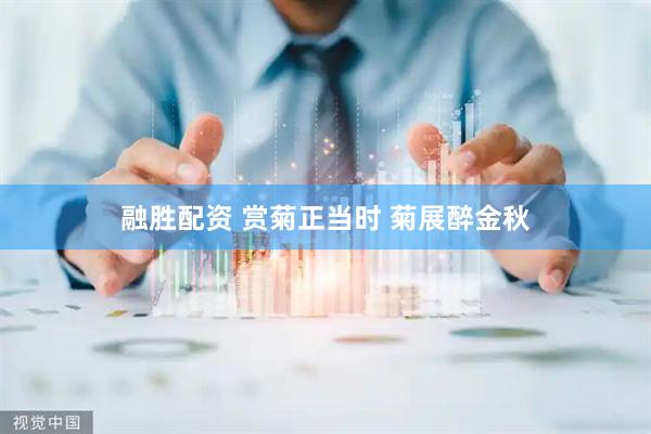 融胜配资 赏菊正当时 菊展醉金秋