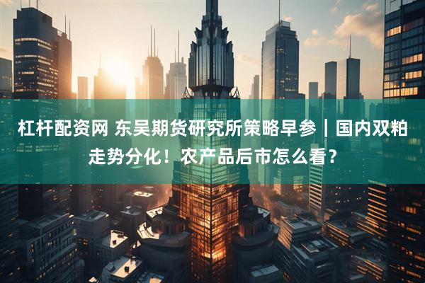 杠杆配资网 东吴期货研究所策略早参｜国内双粕走势分化！农产品后市怎么看？