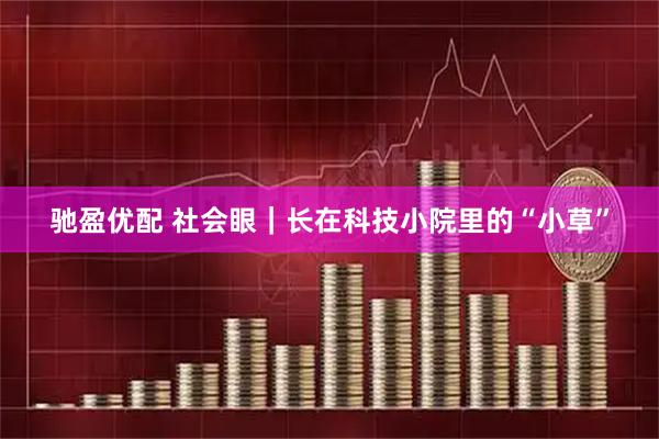 驰盈优配 社会眼｜长在科技小院里的“小草”