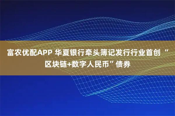富农优配APP 华夏银行牵头簿记发行行业首创 “区块链+数字人民币”债券